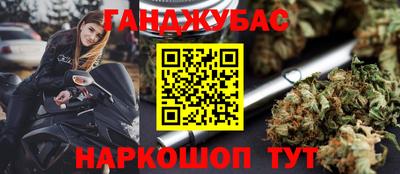 PSILOCYBIN Гатчина